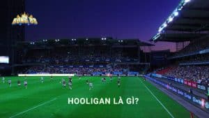 hooligan là gì