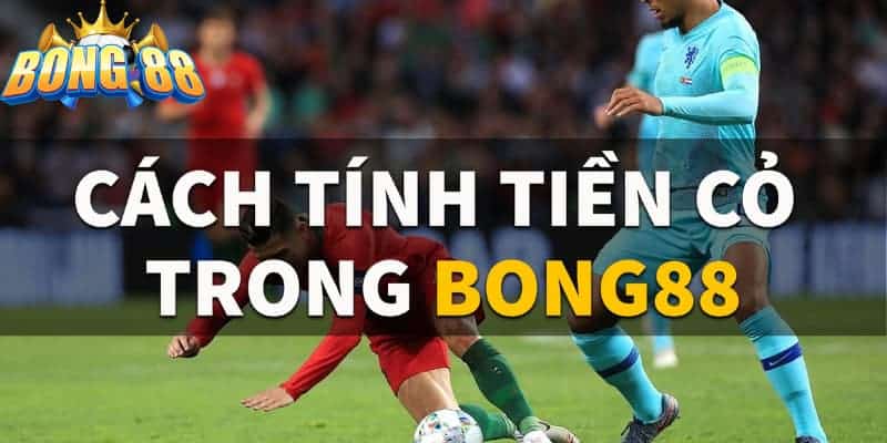 Công thức tính tiền cỏ nhà cái bong88 cơ bản nhất