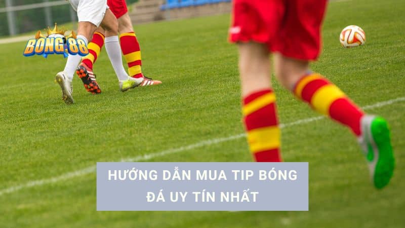 mua tip bóng đá uy tín