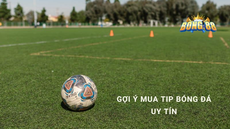 mua tip bóng đá